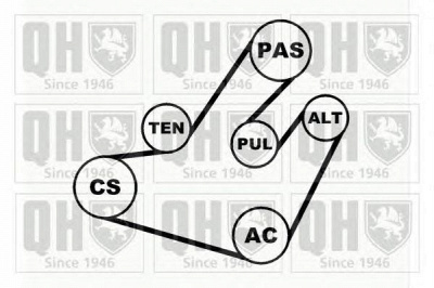 QUINTON HAZELL qdk66 -  Поликлиновой ременный комплект